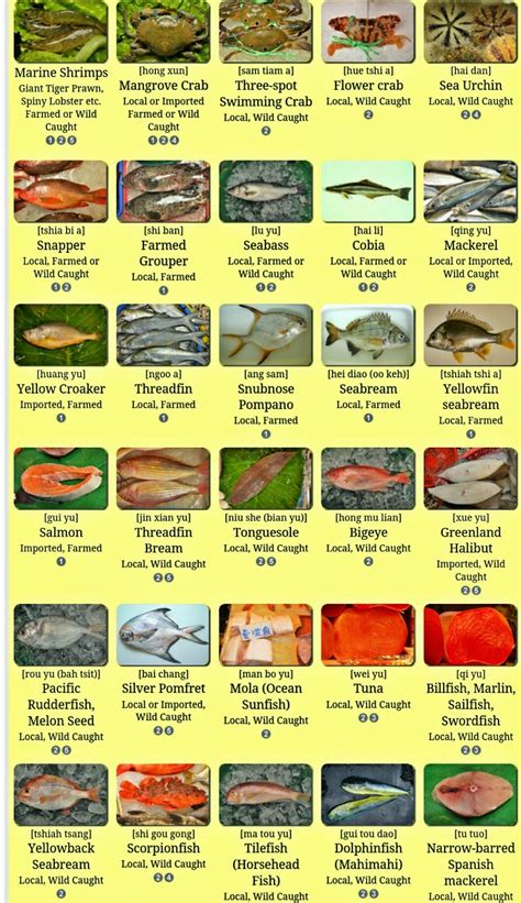 魚有幾種|臺灣海鮮選擇指南 Seafood Guide Taiwan